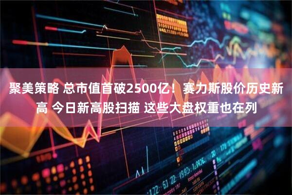 聚美策略 总市值首破2500亿！赛力斯股价历史新高 今日新高股扫描 这些大盘权重也在列