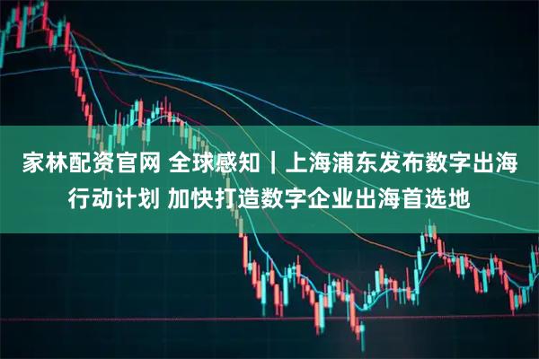 家林配资官网 全球感知｜上海浦东发布数字出海行动计划 加快打造数字企业出海首选地