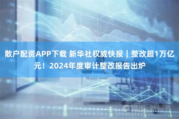 散户配资APP下载 新华社权威快报｜整改超1万亿元！2024年度审计整改报告出炉