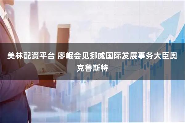 美林配资平台 廖岷会见挪威国际发展事务大臣奥克鲁斯特